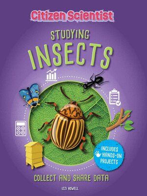 cover image of Studying Insects